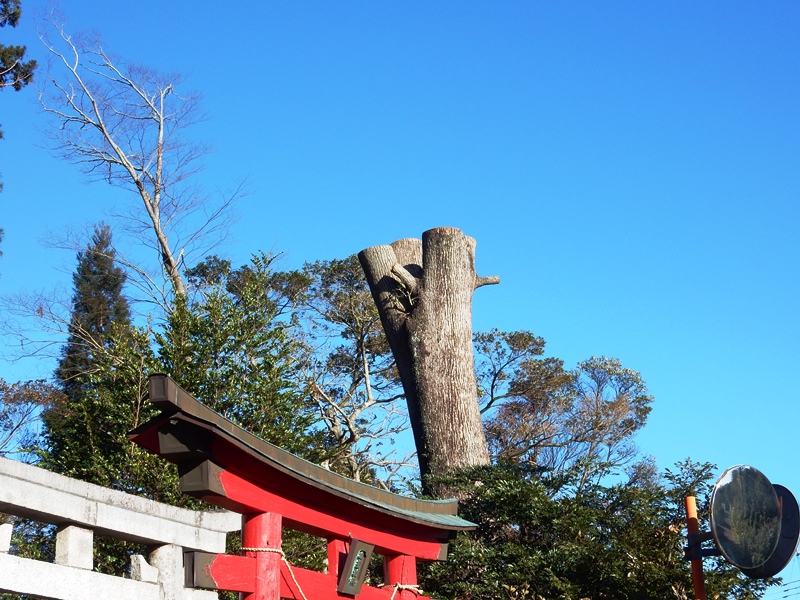 水主神社