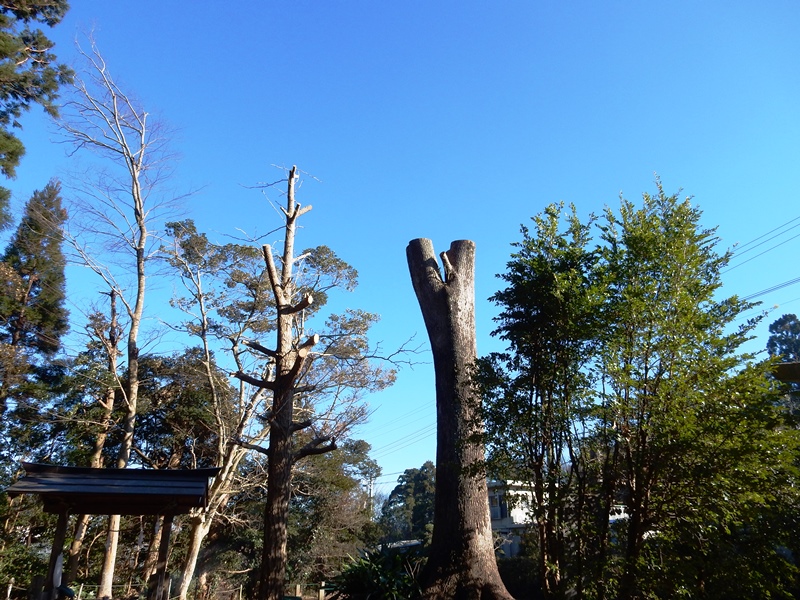 水主神社