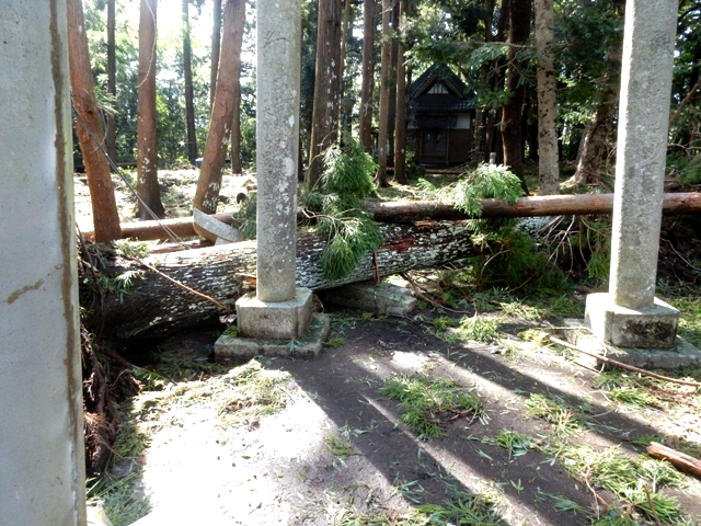 羽黒神社