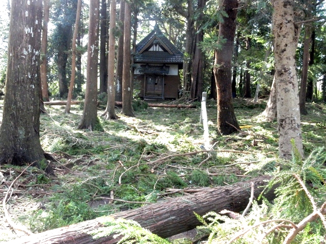 羽黒神社