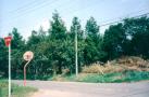 ӎ̂炳 1994.07.06Be