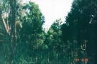 ӎ̂炳 1994.08.28Be
